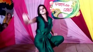 अपरिचित को बिल्ली फोटो खिंचवाने र जंगल गर्न मान्छे लिएर
