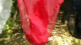 लचिलो बलेरीना बिल्ली सबै दिशा मा कुखुरा फैलियो